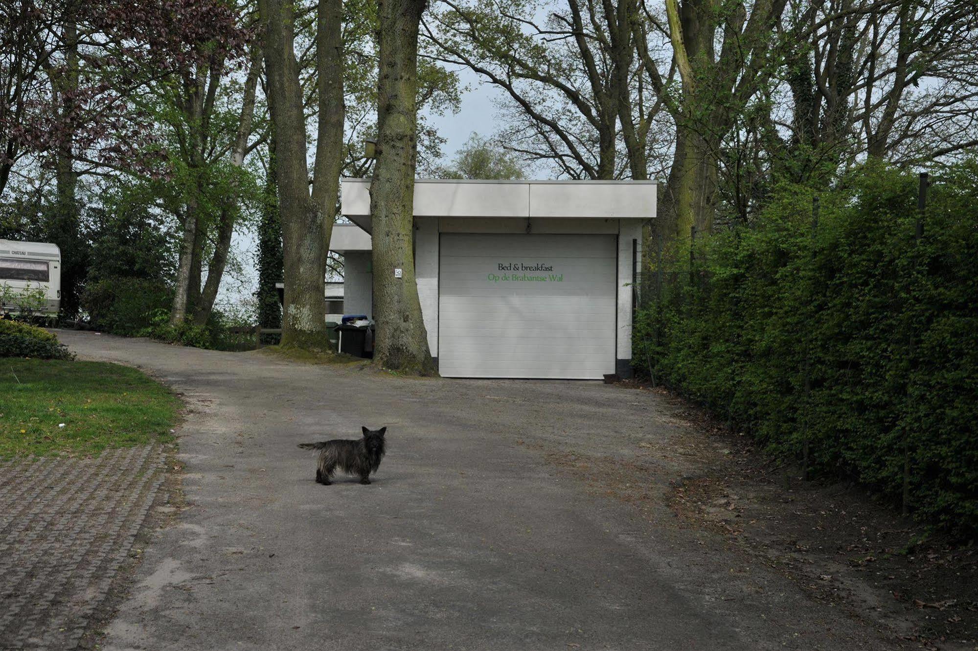 B&B Op De Brabantse Wal Halsteren Bagian luar foto